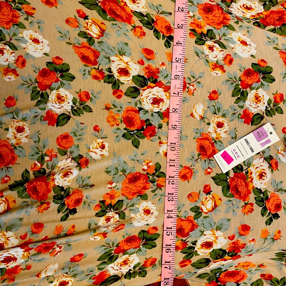 Agnes and Dora Ashleigh dress.  Never worn.  NWT.  Cute with cowboy boots.